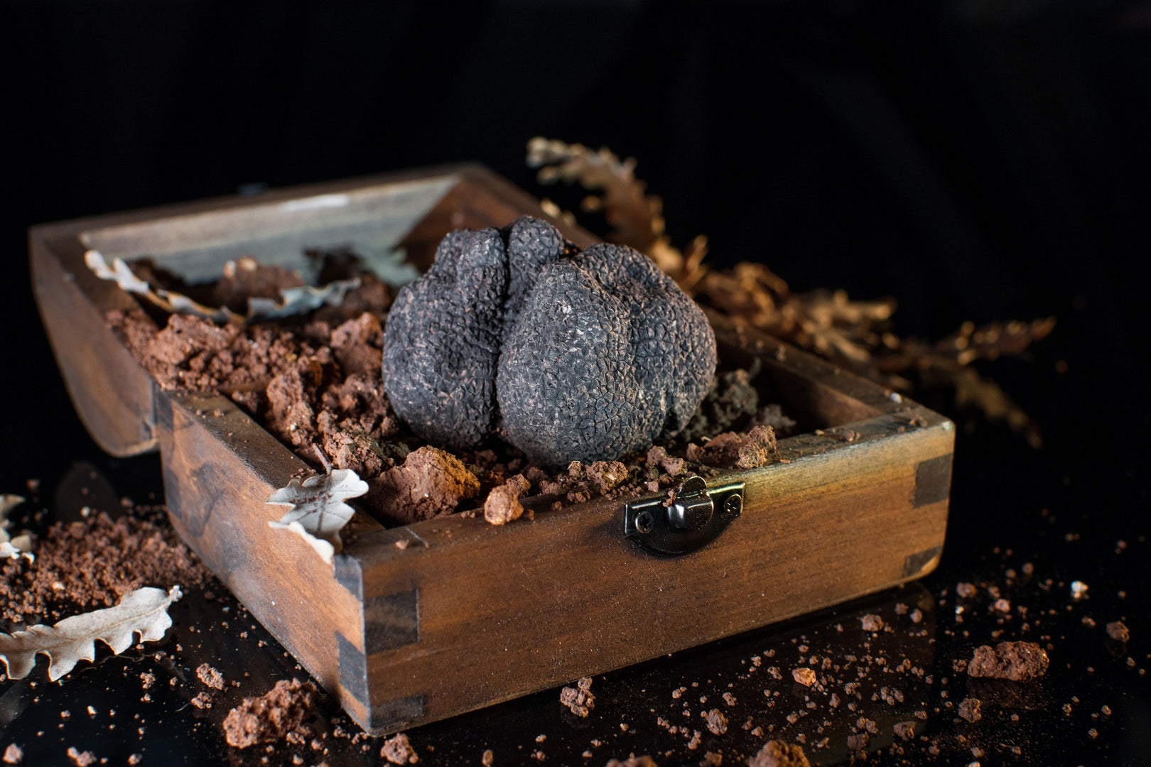 Linguine with fresh black truffle Melanosporum