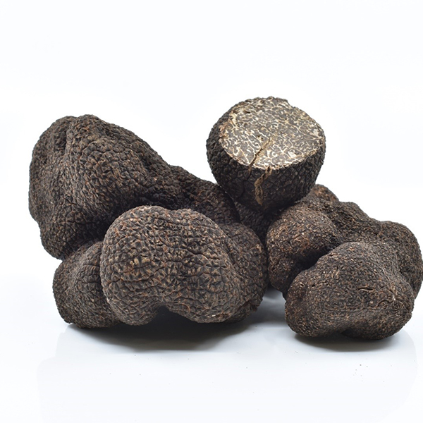 Fresh & Lyophilised truffles - Zigante Tartufi Online Shop