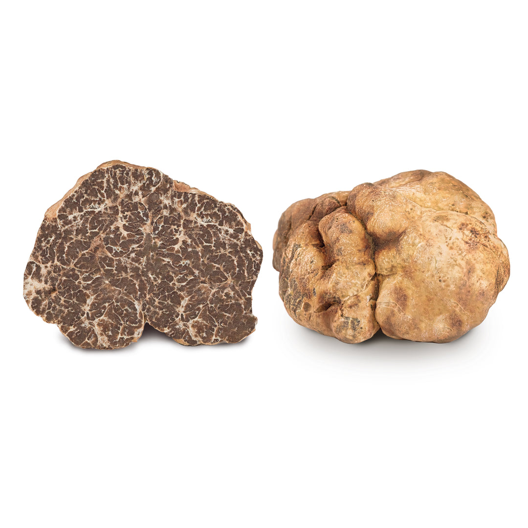 Fresh Bianchetto truffle-Tuber Borchii