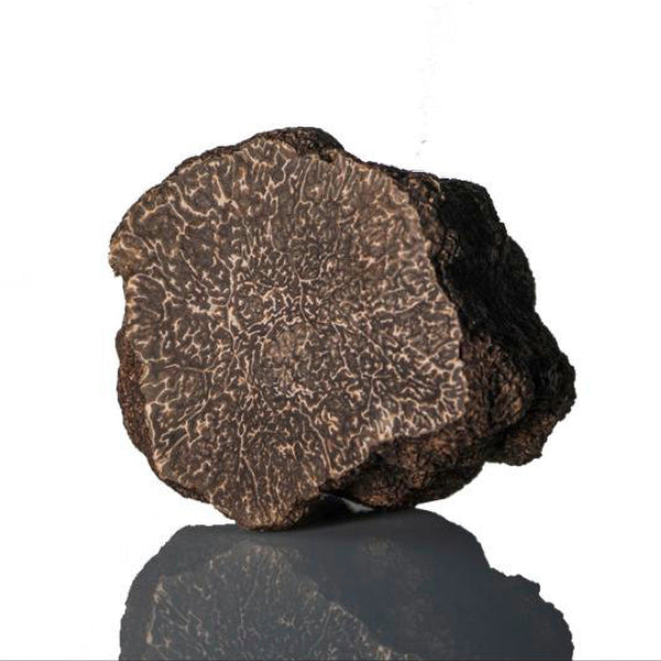 Fresh truffle Fresh Black Truffle- Tuber Melanosporum - Zigante Tartufi Online Shop, Truffle Shop, Truffle Products