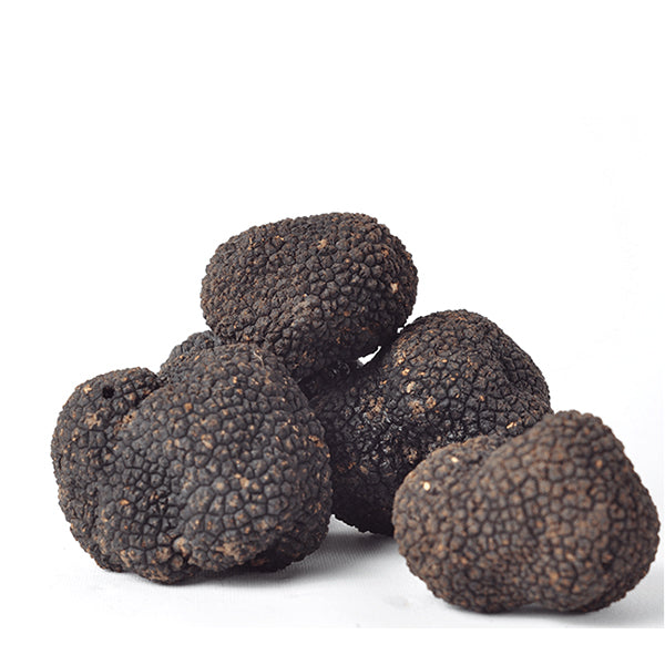 Fresh Black Truffle-Tuber Uncinatum - Zigante Tartufi Online Shop, Truffle Shop, Truffle Products